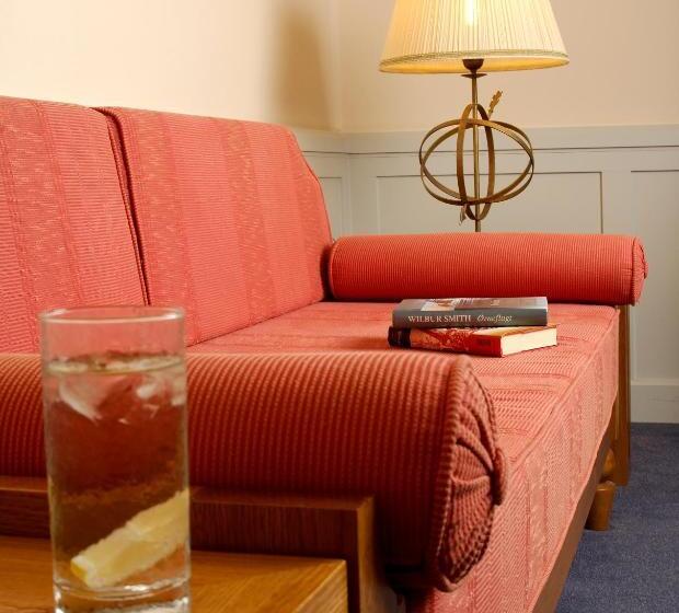 高级大房间, Ideon