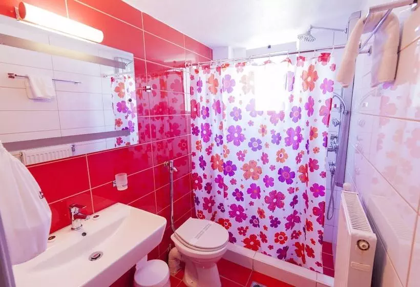Habitación Estàndard Individual, Krikonis