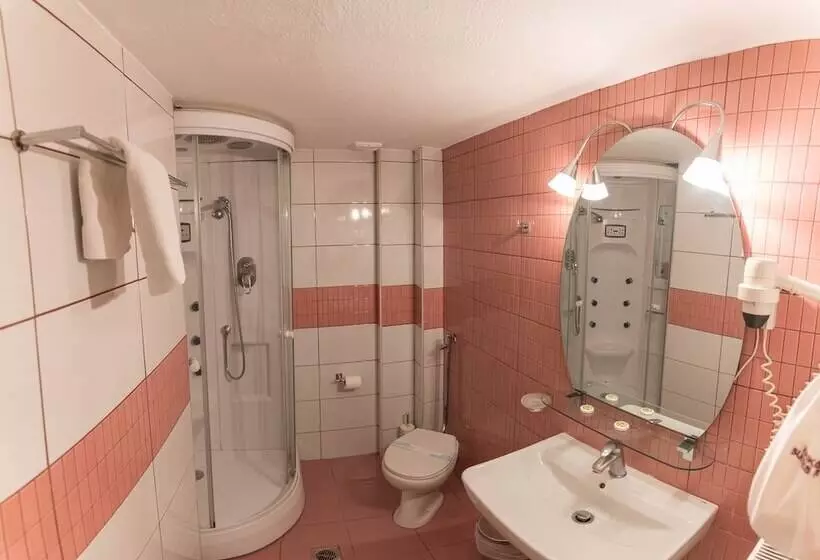 Habitació Estàndard, Krikonis