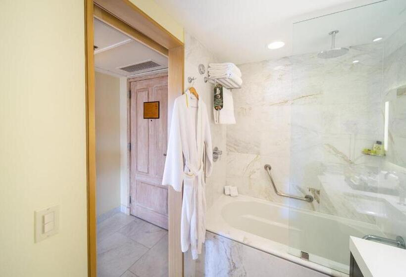 اتاق کلاسیک با تخت دونفره, Real Intercontinental San Pedro Sula, An Ihg