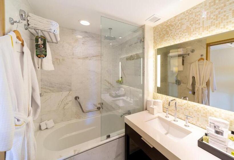 اتاق سوپریور با چشمانداز کوهستان, Real Intercontinental San Pedro Sula, An Ihg