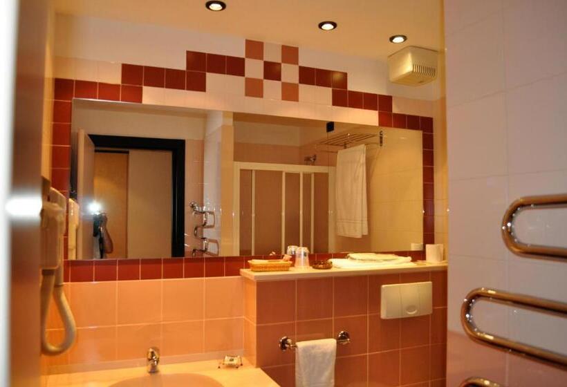 חדר סטנדרט יחיד, Best Western Hotel Solaf