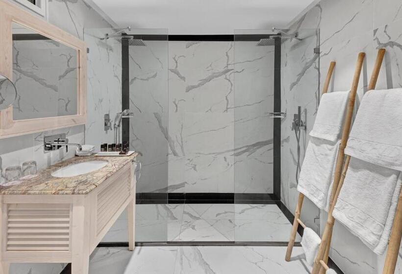 スーペリアールーム, Orchid Eilat