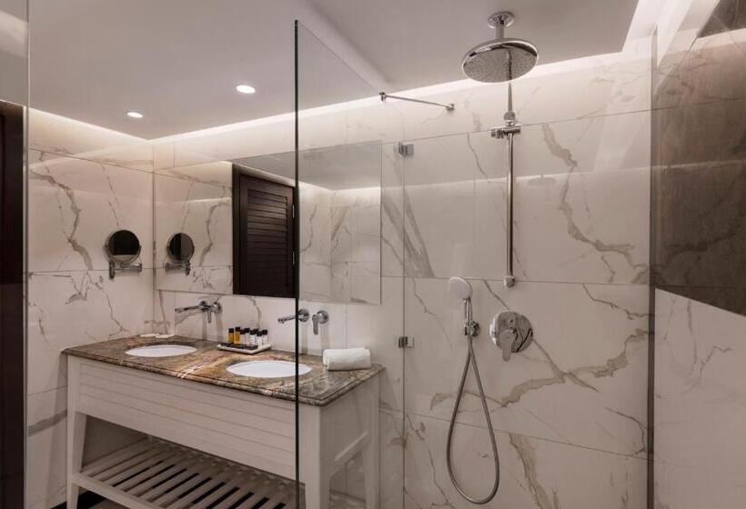 スーペリアールーム, Orchid Eilat