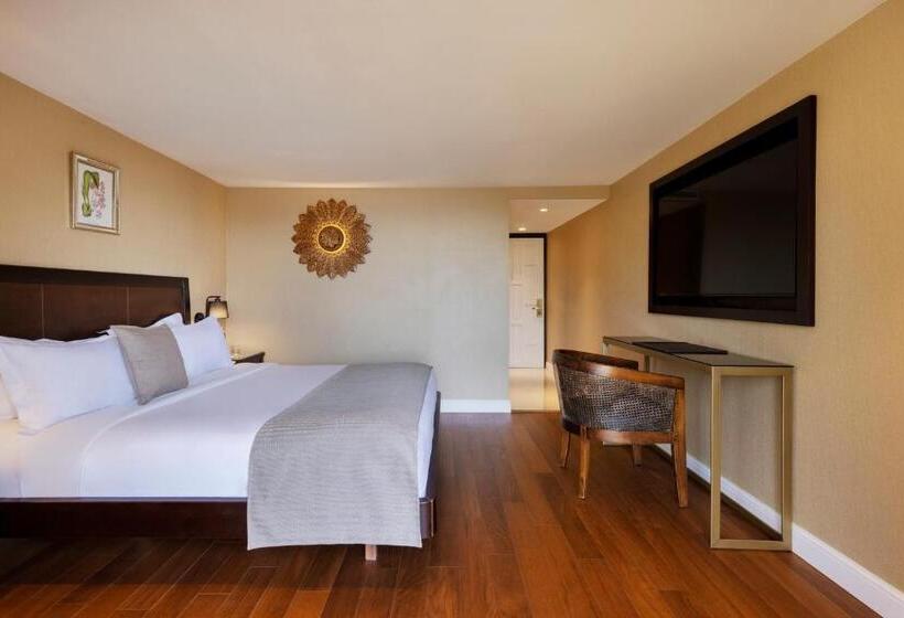 スーペリアールーム, Orchid Eilat