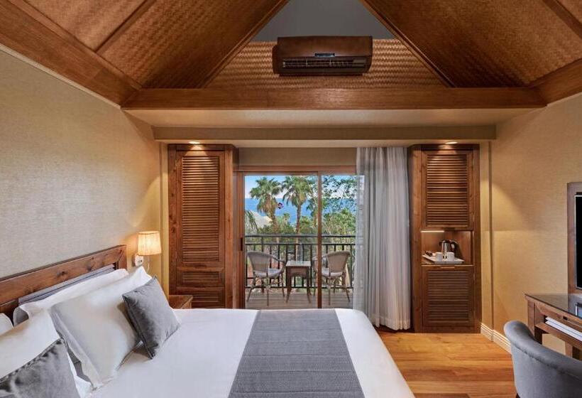 デラックスルーム, Orchid Eilat