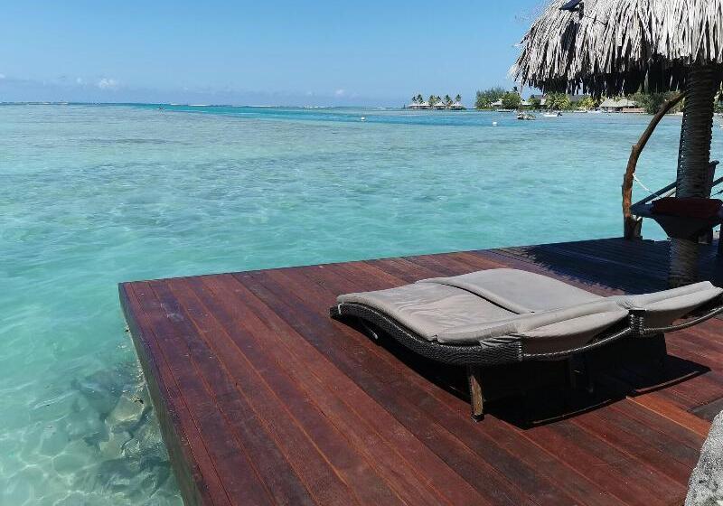 سوییت پرستیژ, Fenua Mata I Oa