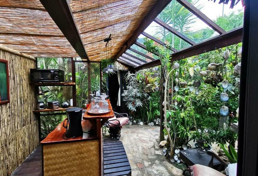 سوییت پرستیژ, Fenua Mata I Oa