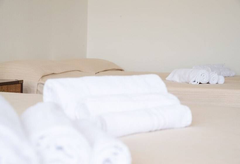 غرفة قياسية ثلاثية, De Plam