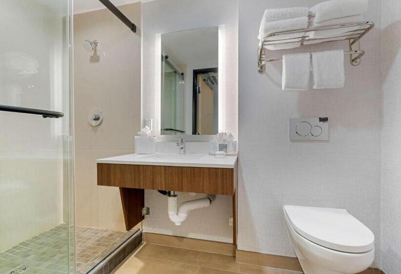 带大床的标准间, Aiden By Best Western Berkeley