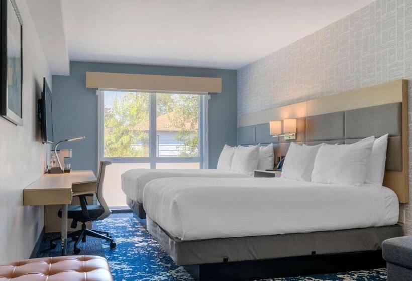 身障者適用スタンダードルーム, Aiden By Best Western Berkeley