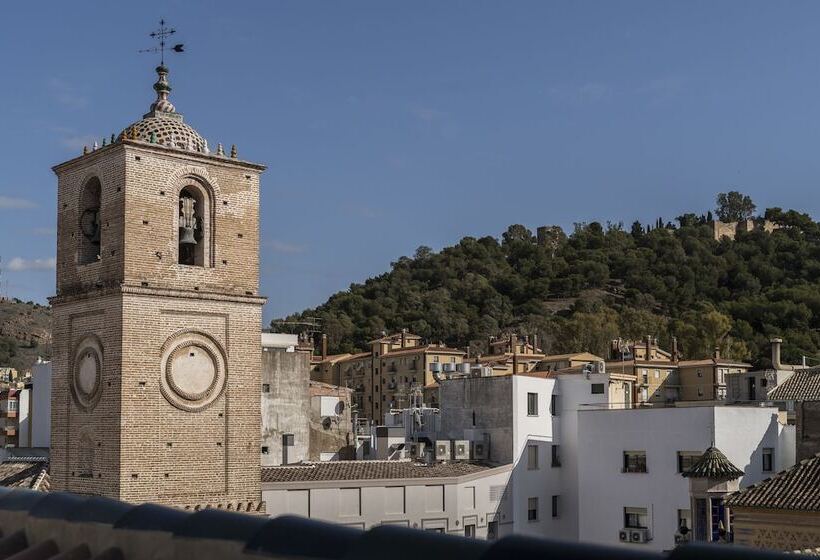 اتاق استاندارد با چشمانداز شهر, Palacio Solecio, A Small Luxury Hotel Of The World