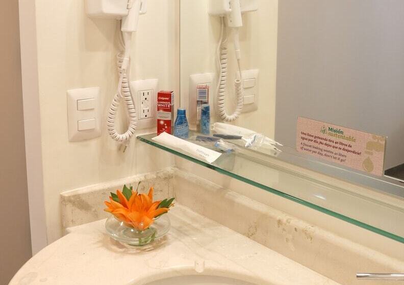 スタンダードルーム, Misión Express San Juan Del Río