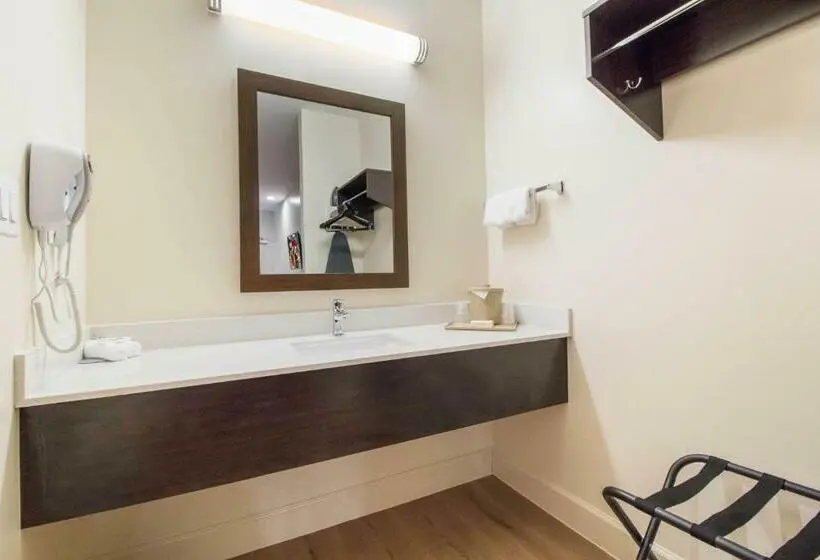 キングサイズベッドのデラックスルーム, Red Roof Inn Houston Willowbrook