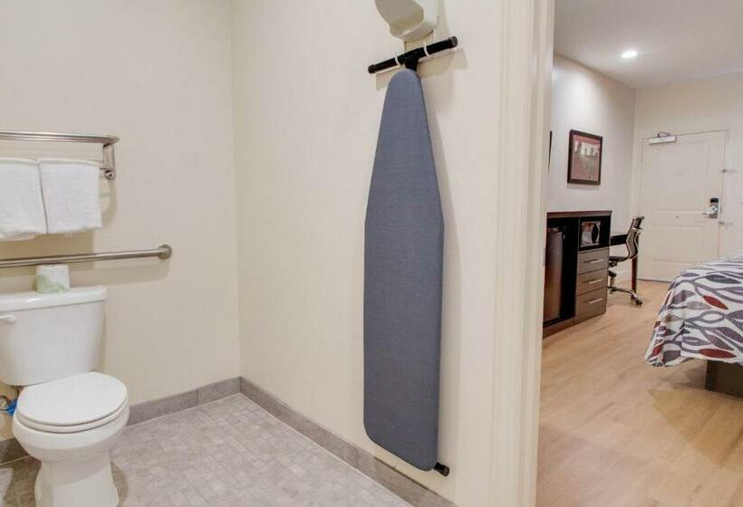 Номер Deluxe Адаптированный для Инвалидов, Red Roof Inn Houston  Willowbrook