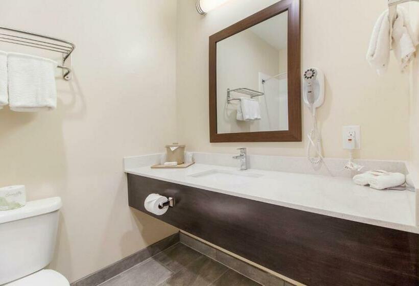 Номер Deluxe Кровать Куин, Red Roof Inn Houston  Willowbrook