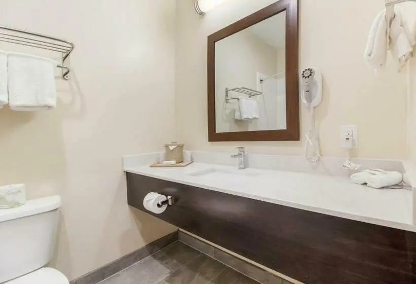 クイーンベッドのデラックスルーム, Red Roof Inn Houston Willowbrook
