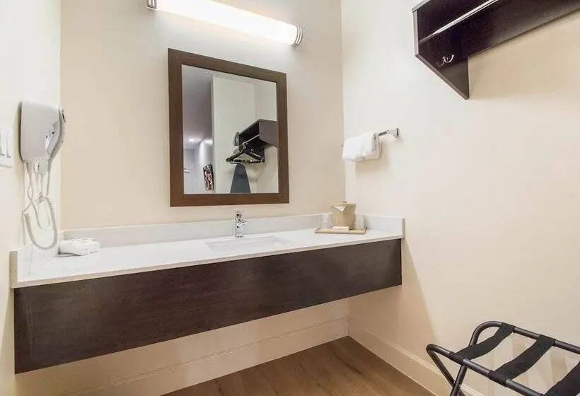 デラックスルーム, Red Roof Inn Houston Willowbrook