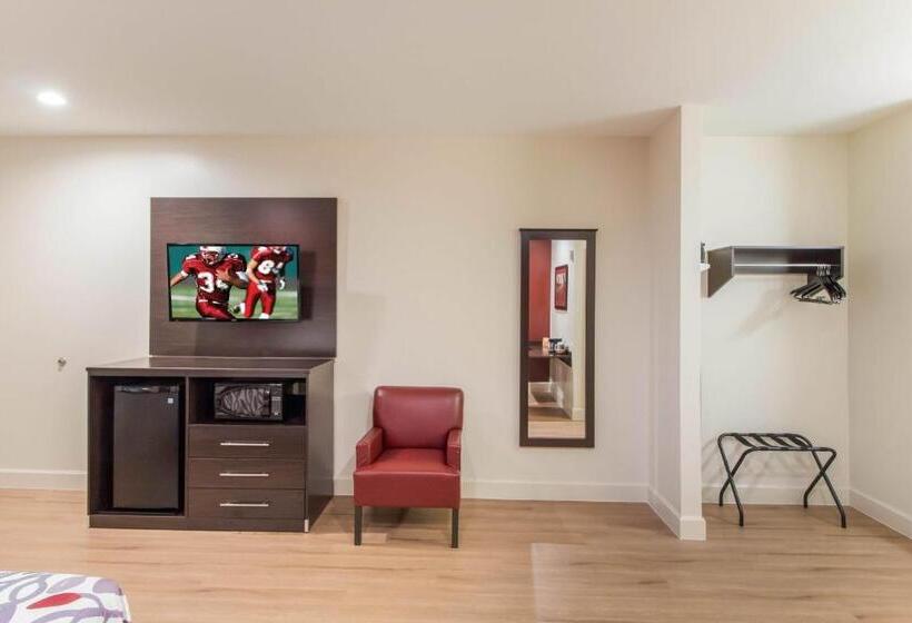 Номер Superior Кровать Кинг, Red Roof Inn Houston  Willowbrook