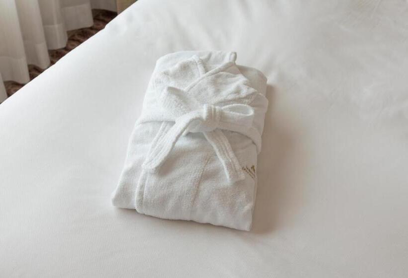 اتاق استاندارد با چشمانداز شهر, Nikko Princess Kyoto