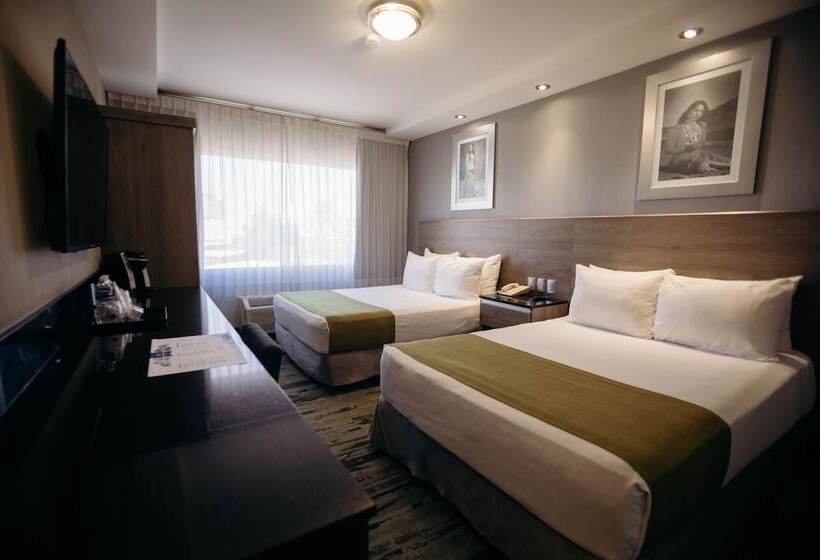 스탠다드 룸, Araiza Hermosillo