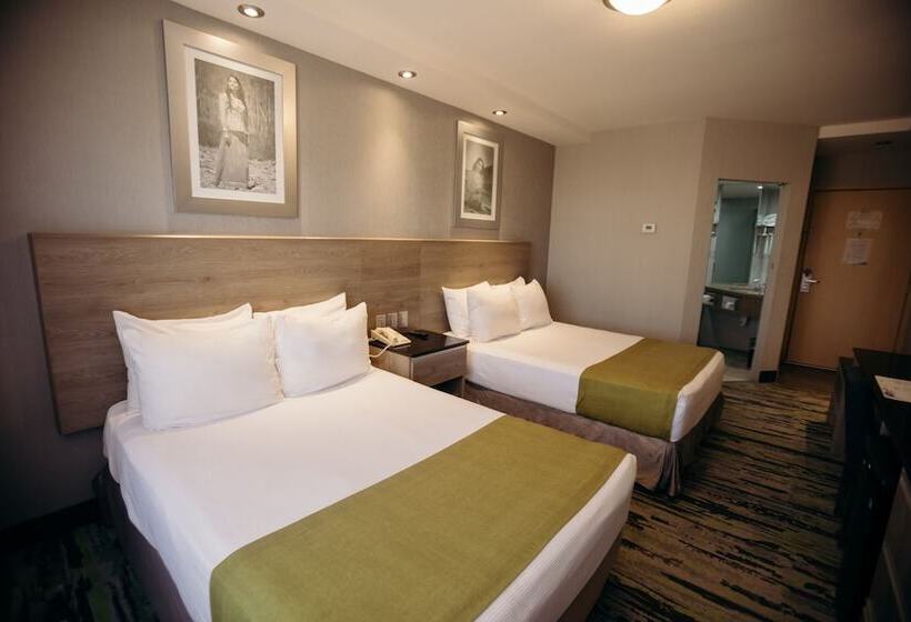 스탠다드 룸, Araiza Hermosillo