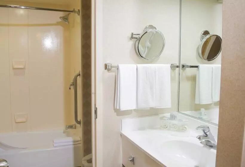 اتاق استاندارد با 2 تخت دوبل, Holiday Inn Express Monterrey Galerias San Jeronimo, An Ihg