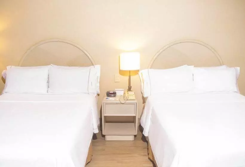 اتاق استاندارد با 2 تخت دوبل, Holiday Inn Express Monterrey Galerias San Jeronimo, An Ihg