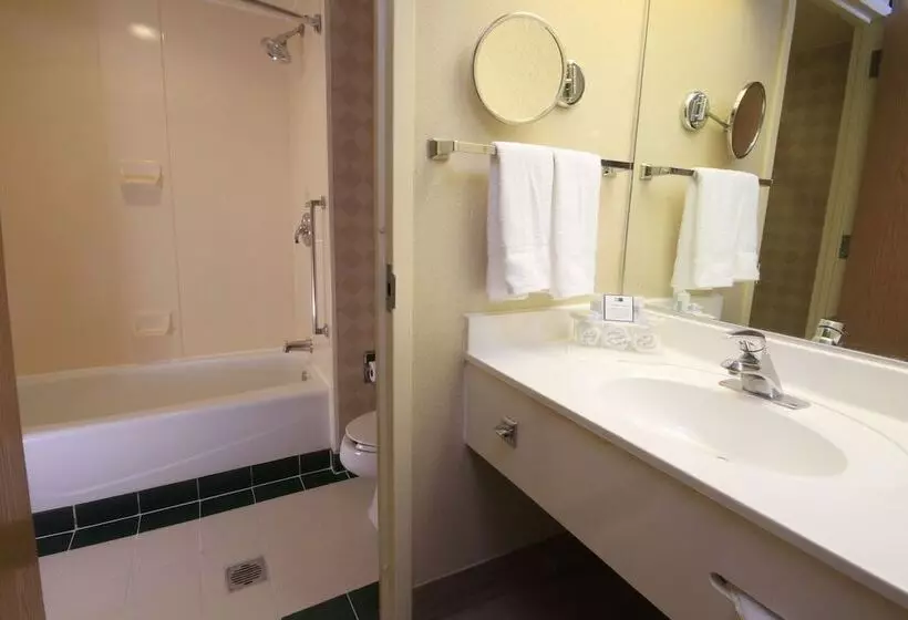 اتاق استاندارد, Holiday Inn Express Monterrey Galerias San Jeronimo, An Ihg