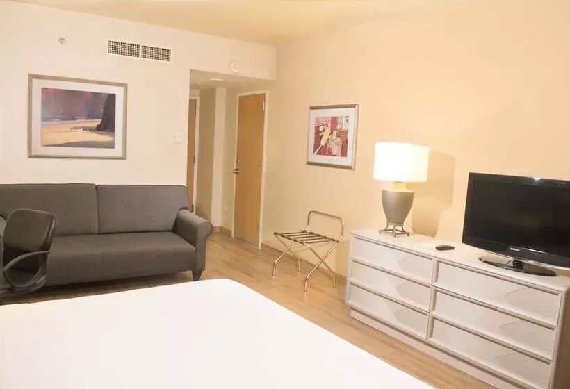 اتاق استاندارد, Holiday Inn Express Monterrey Galerias San Jeronimo, An Ihg