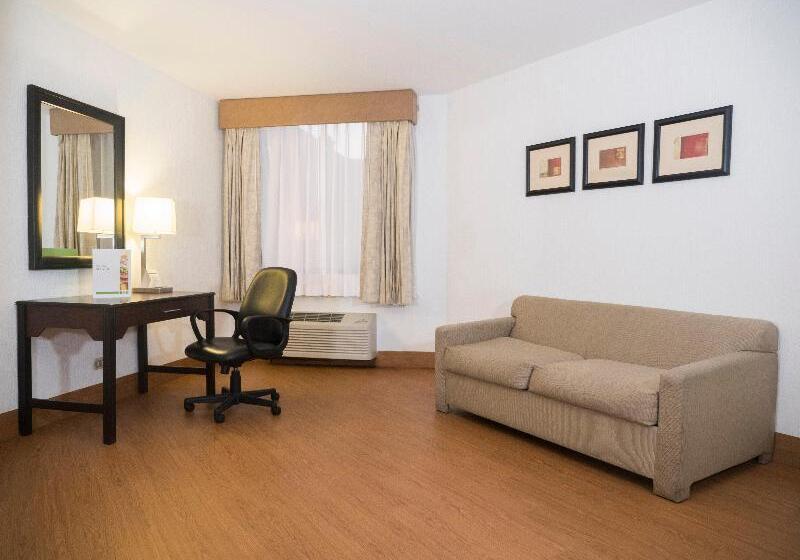 キングサイズベッドのスタンダードルーム, Holiday Inn Tijuana Zona Rio, An Ihg