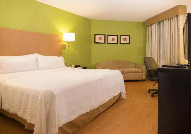 اتاق استاندارد با تخت بزرگ, Holiday Inn Tijuana Zona Rio, An Ihg