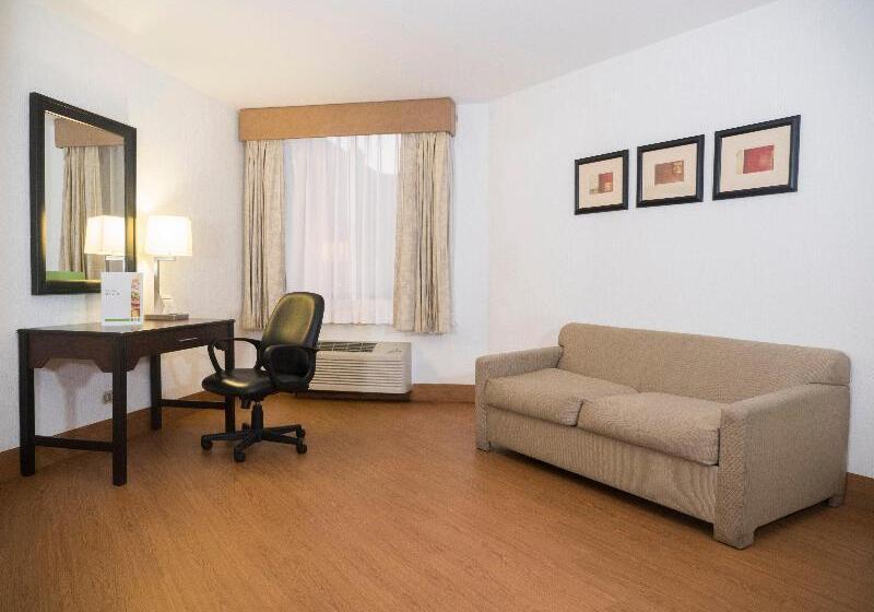 חדר סטנדרט עם מיטת קינג, Holiday Inn Tijuana Zona Rio, An Ihg