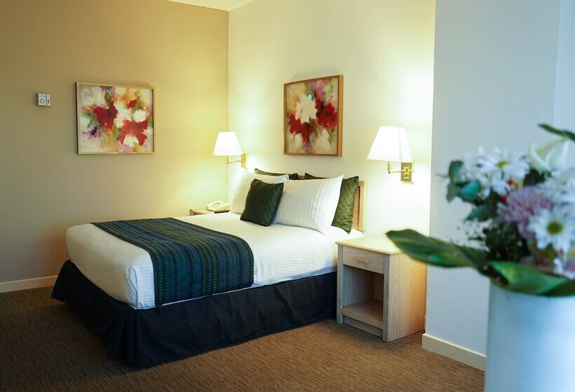 이그제큐티브 룸, San Marcos Grand