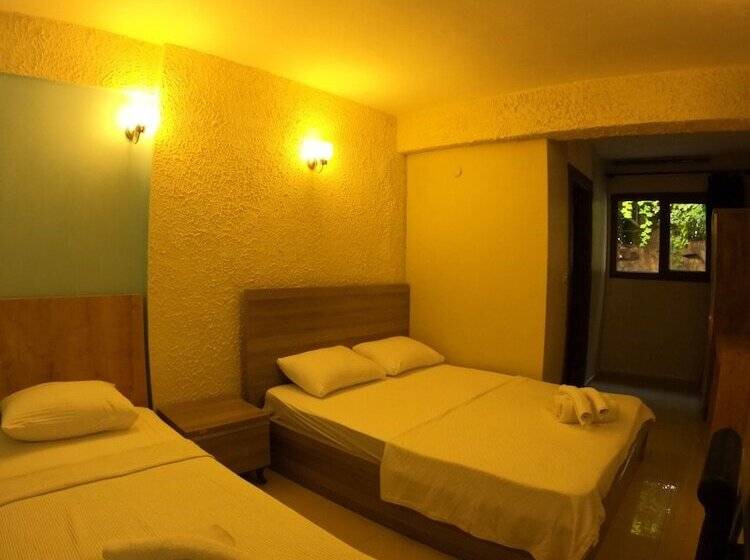 اتاق استاندارد سه نفره, Ados