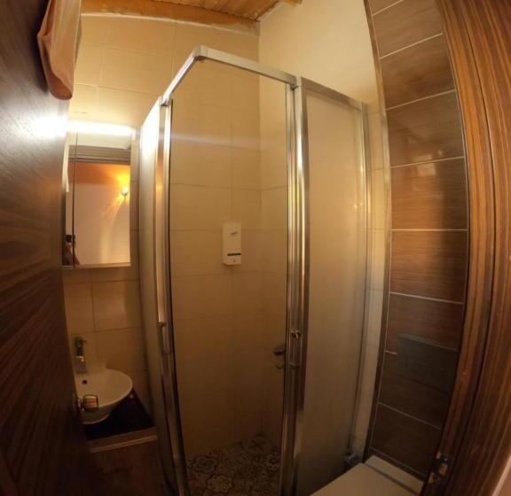 اتاق استاندارد سه نفره, Ados