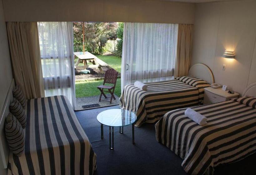 חדר סטודיו סטנדרד, Airport Goldstar Motel