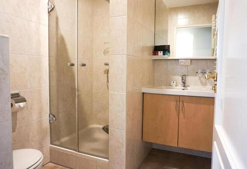 스탠다드 룸 킹사이즈 침대, Kasteel De Vanenburg