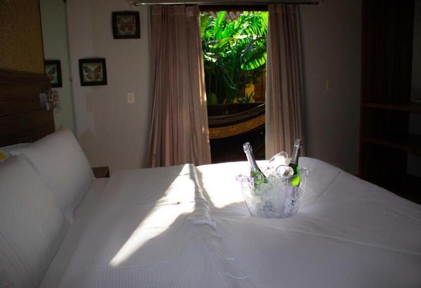 اتاق استاندارد با تخت بزرگ, Pousada Villa Guimaraes