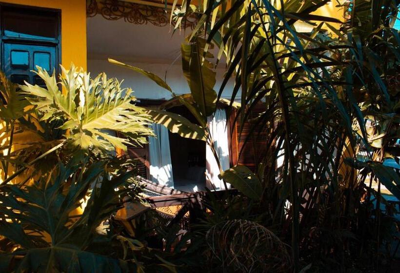 اتاق استاندارد با تخت بزرگ, Pousada Villa Guimaraes