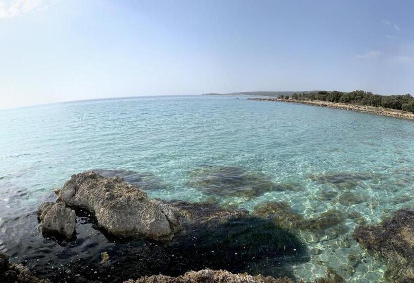 آپارتمان 1 خوابه همکف, Apartmans And Rooms Slavica