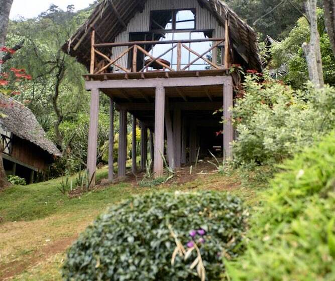 اتاق خانوادگی, Karama Lodge & Spa