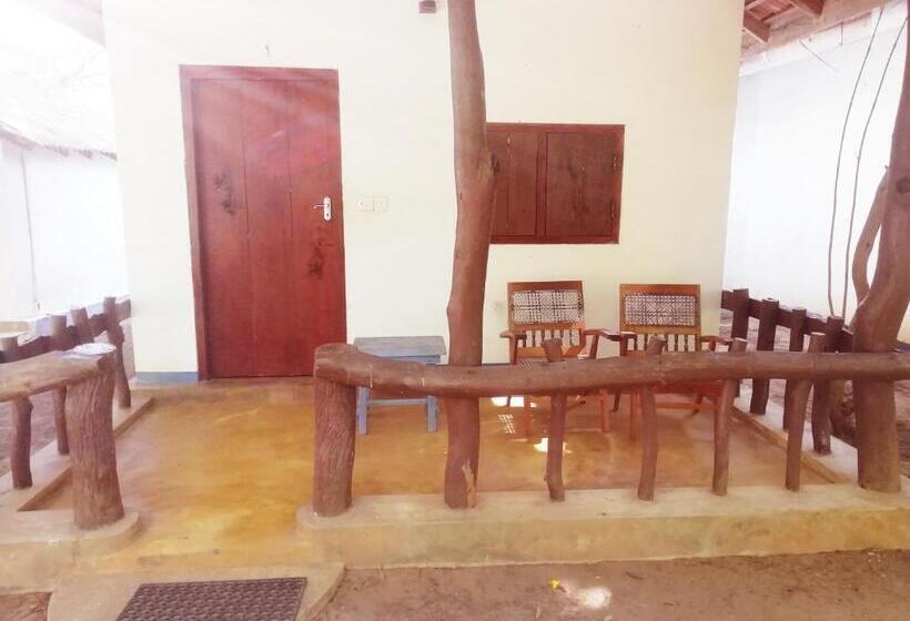 اتاق استاندارد, Safasurf Camp   Hostel