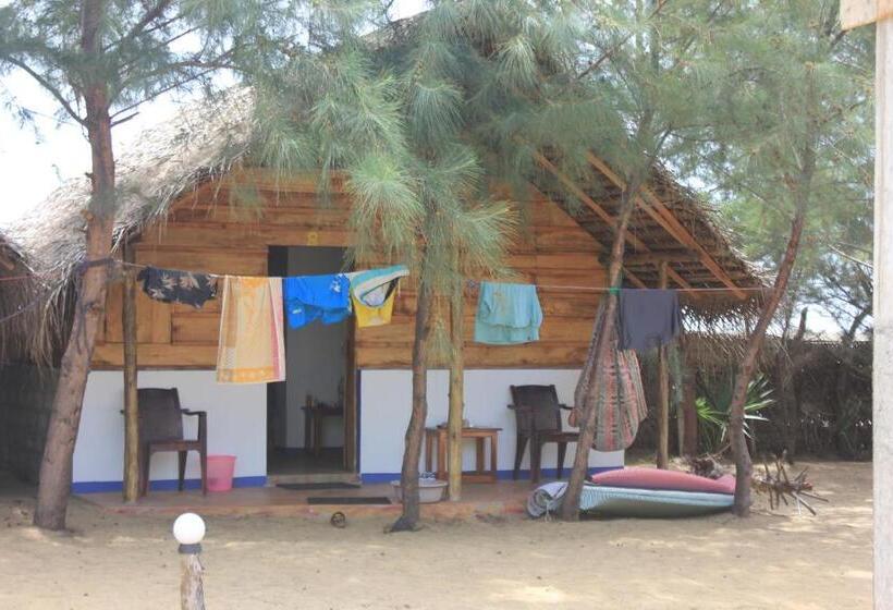 اتاق استاندارد با تراس, Safasurf Camp   Hostel