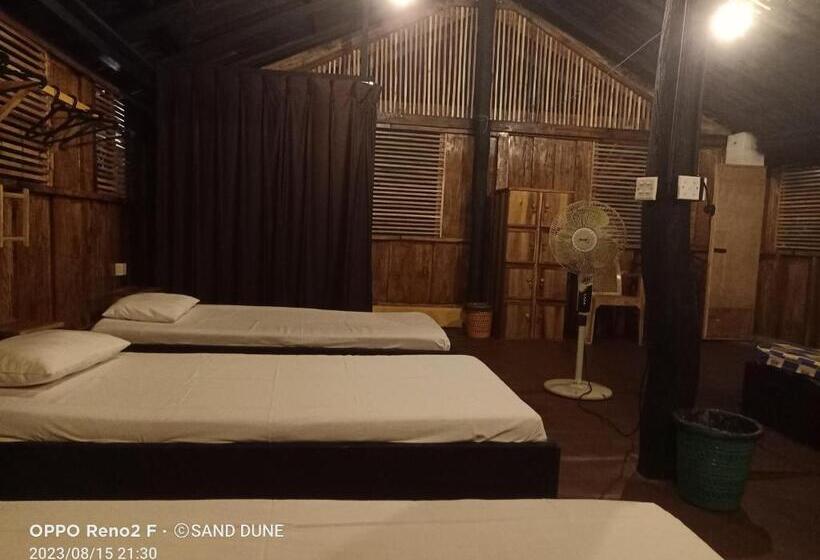 تختخواب در اتاق مشترک, Safasurf Camp   Hostel