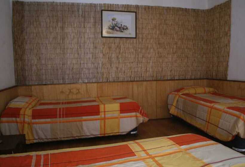 共用房间的床, Arica Surf House