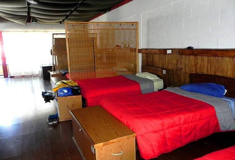 共用房间的床, Arica Surf House