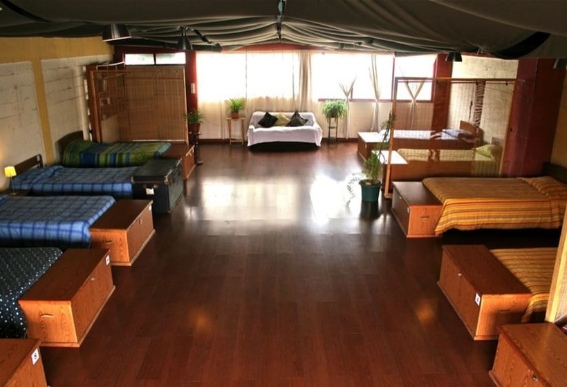 共用房间的床, Arica Surf House