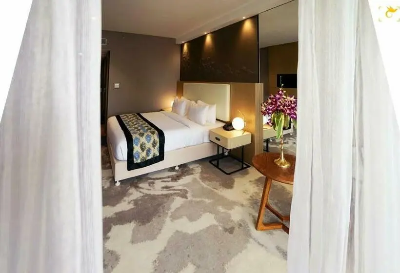 اتاق استاندارد با تخت بزرگ, Clarks Inn Suites Raipur
