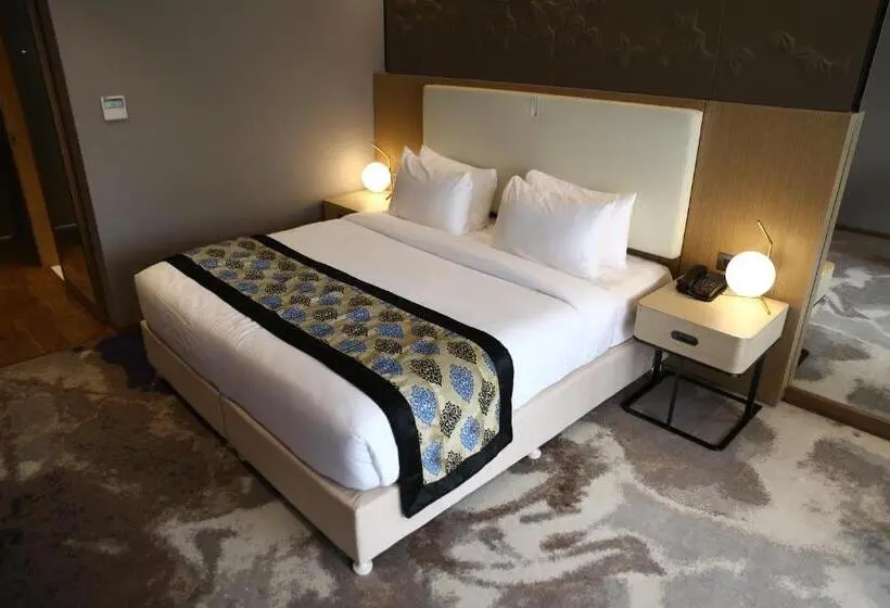 اتاق لوکس, Clarks Inn Suites Raipur